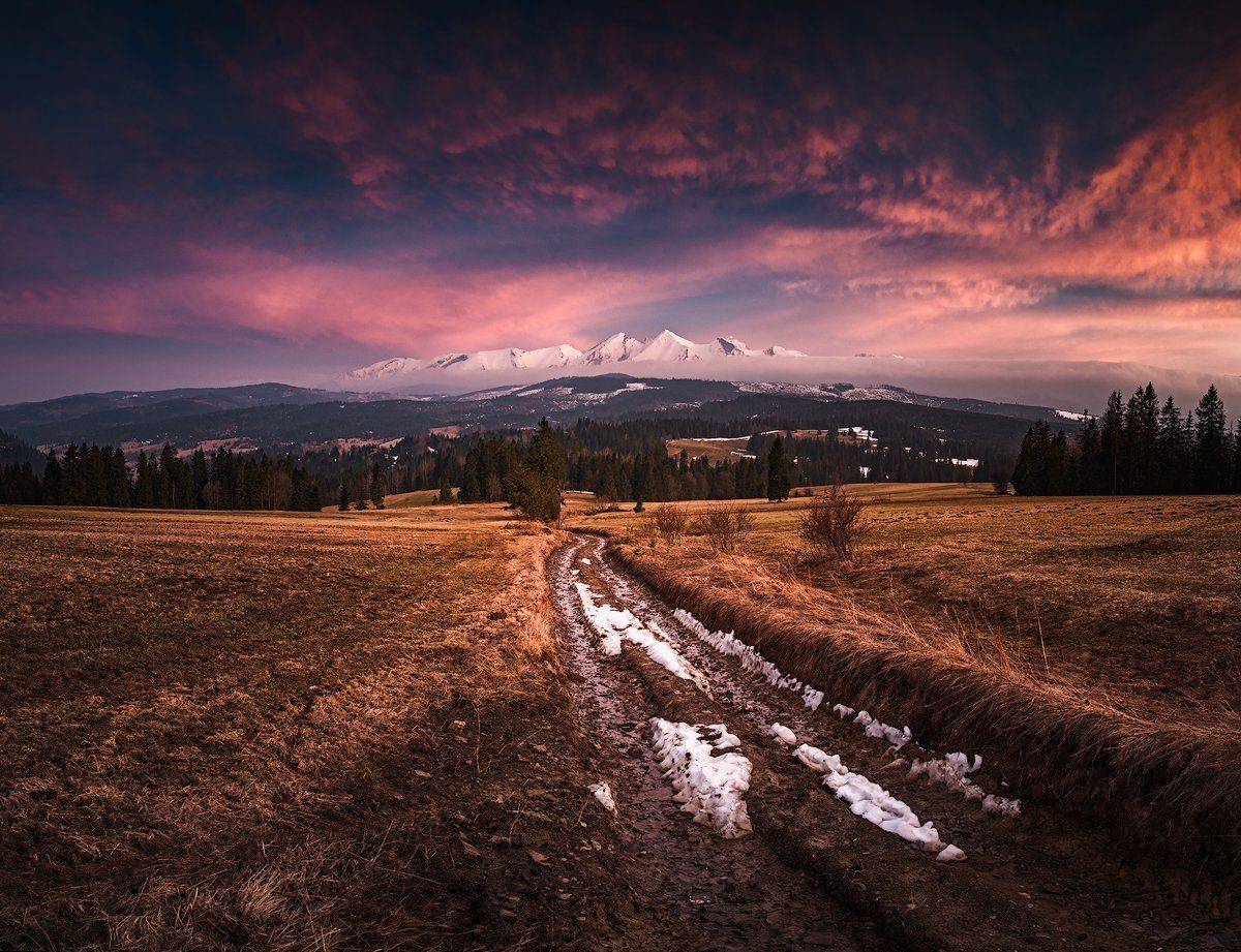 , Pawel Uchorczak