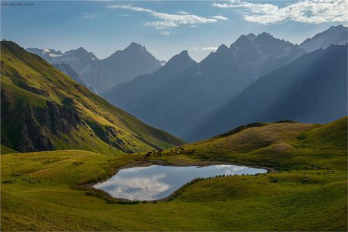 Тишина твоего утра.