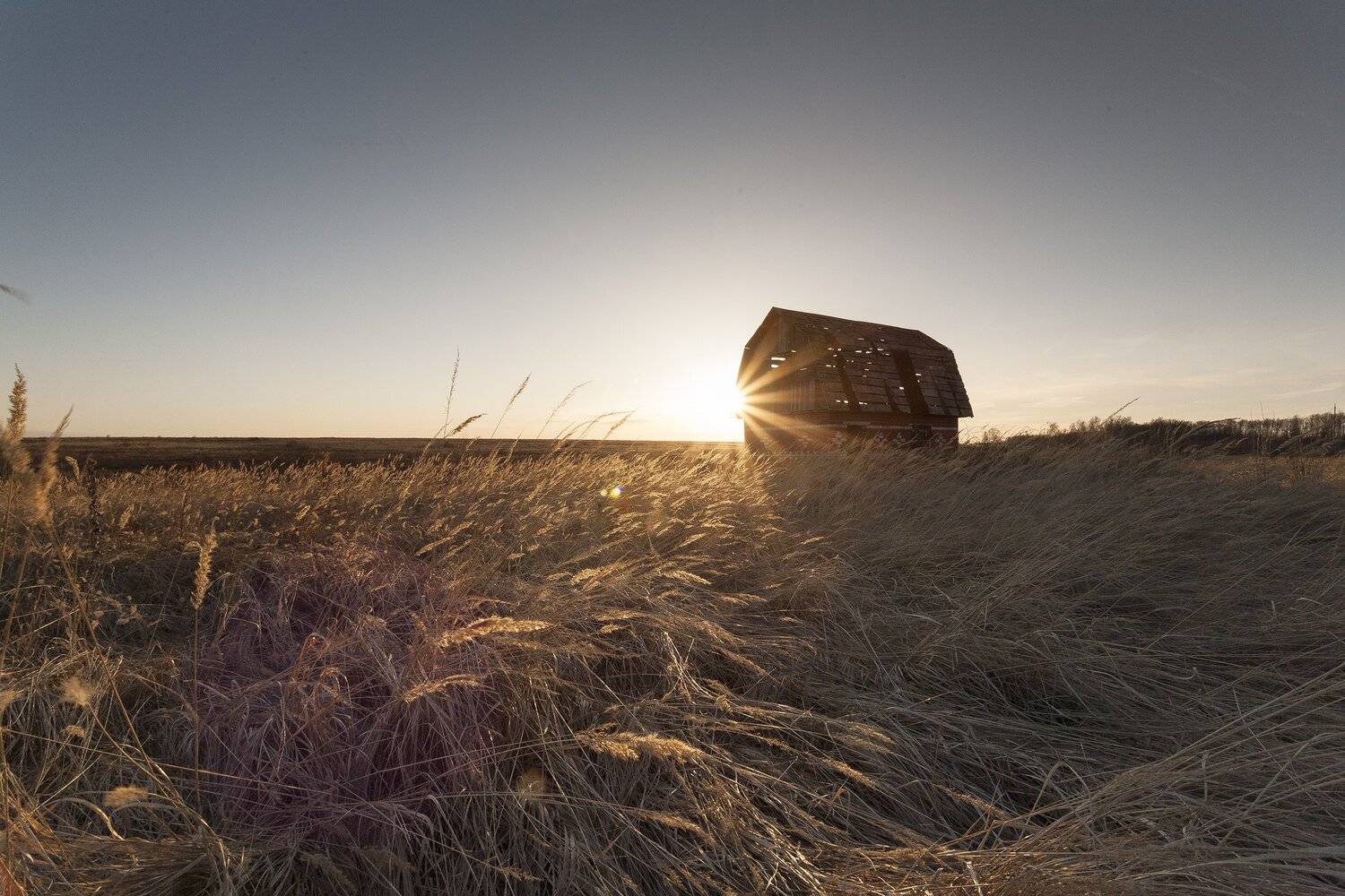 , Виталий Стрельцов