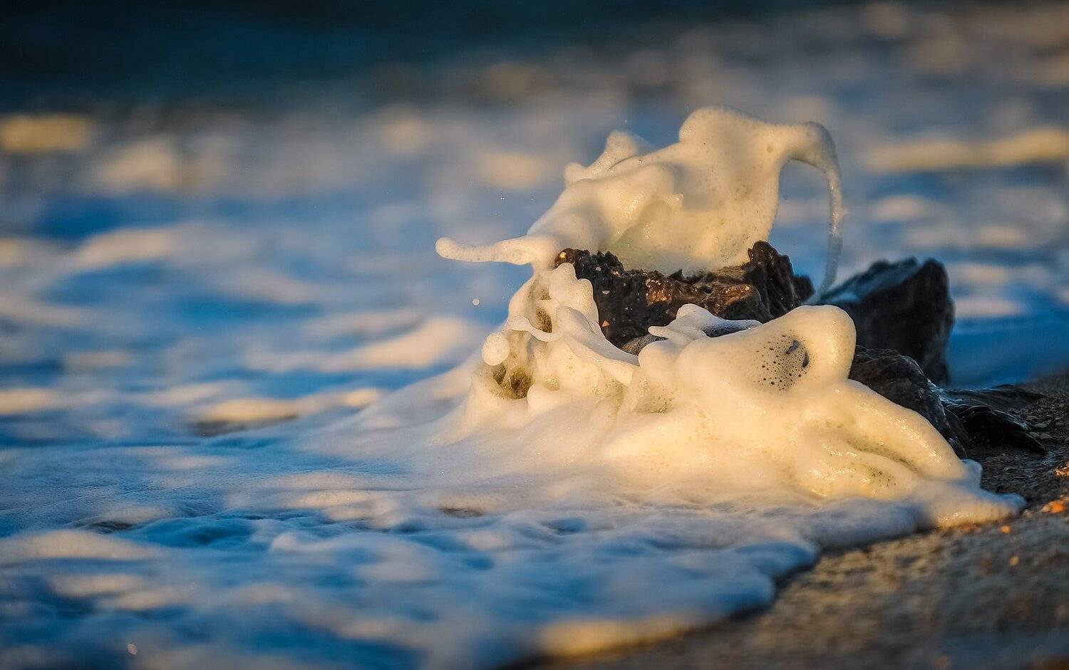 , Борис Пирог