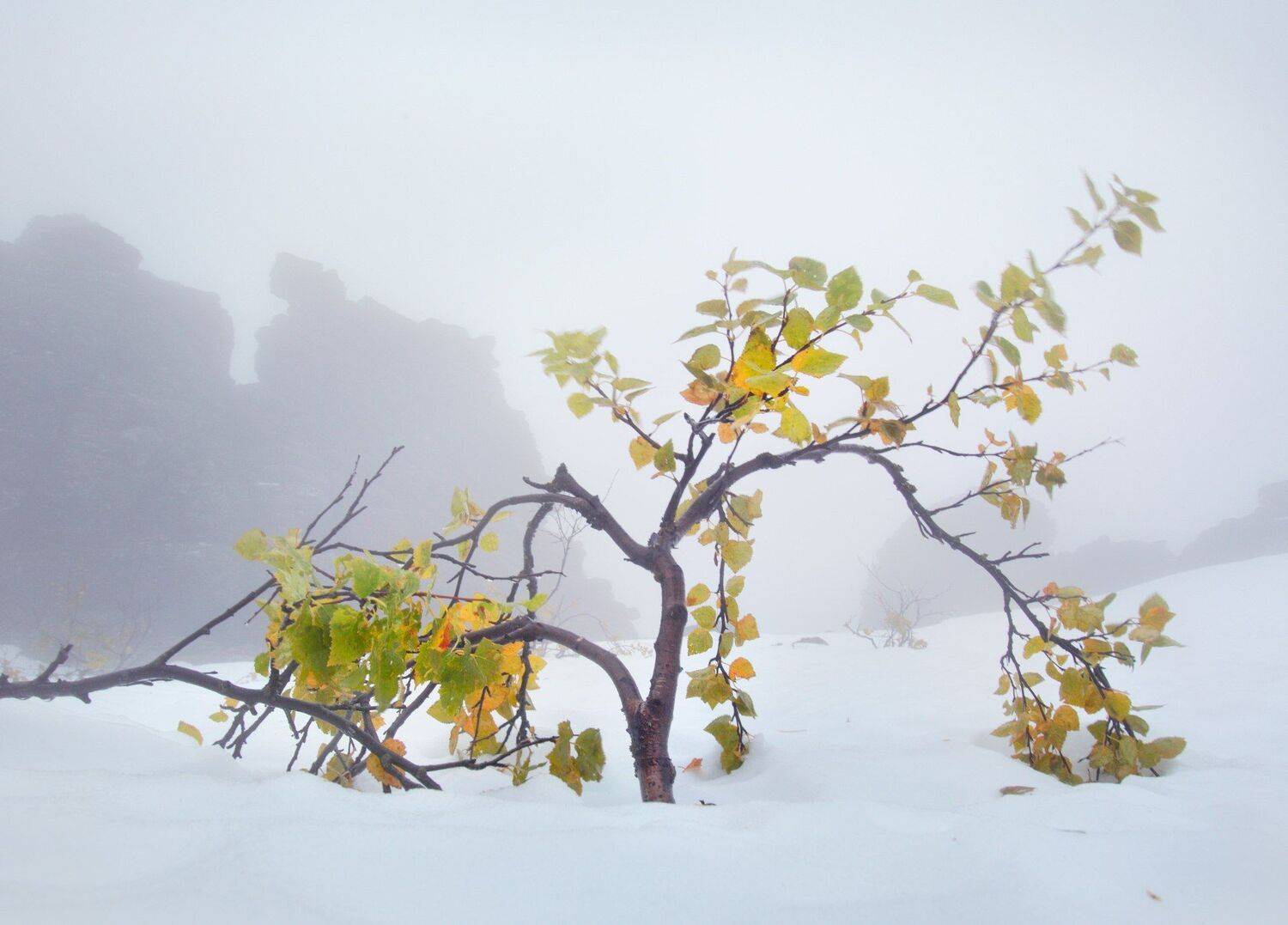 , Сергей Макурин