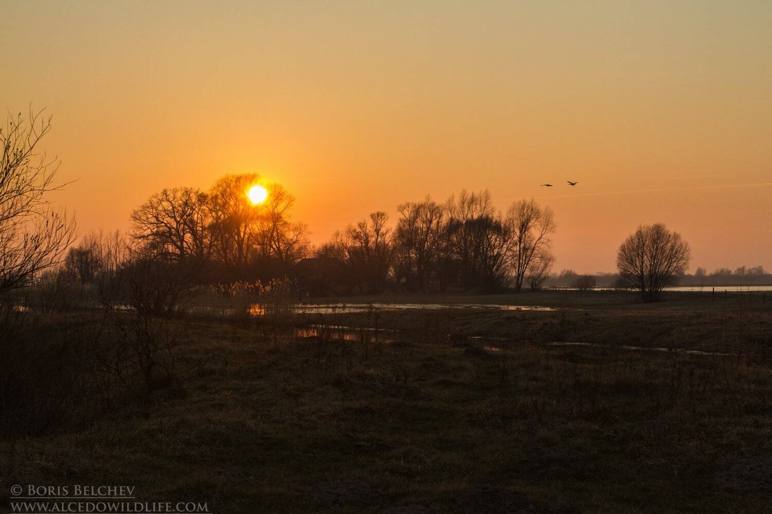 , Борис Белчев