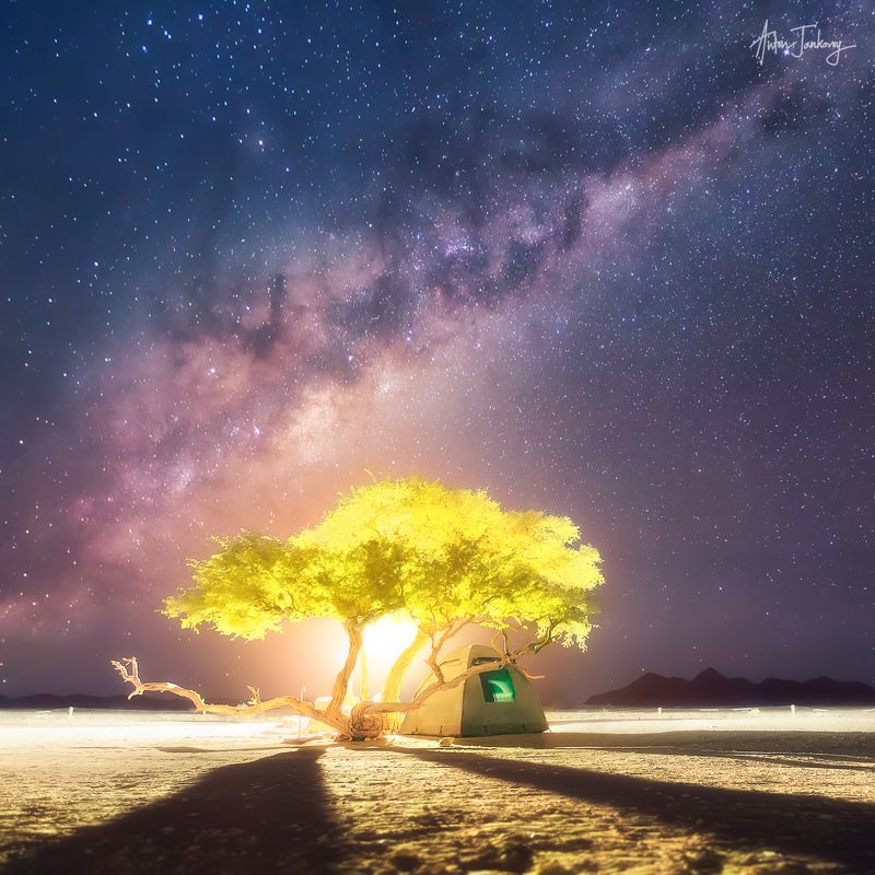 tent, tree, moon, moonrise, universe, milky way, light, desert, namibia, namib, camp, shadows, stars, night, nightscape, silhouette,  sossusvlei,  палатка, дерево, луна, рассвет, закат, вселенная, млечный путь, намибия, намиб, соссусфлей, лагерь, тени, зв Краткая история о Вселенной, Луне и маленькой палатке под деревом где-то на планете Земля (Намибия,  Соссусфлей) фото превью