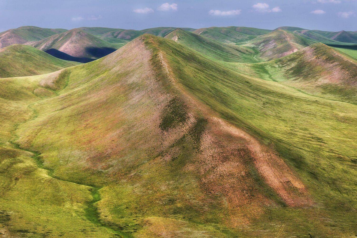 , Павел Сагайдак