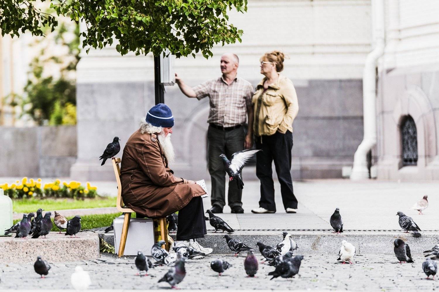 Люди, город, улица, жанр, человек,птицы, голуби, , АлександрТутаев