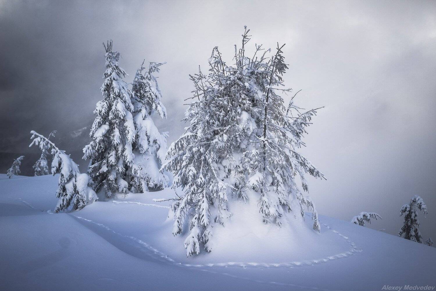cold, wint, snow, steps, montain, trees, carpathains., Алексей Медведев