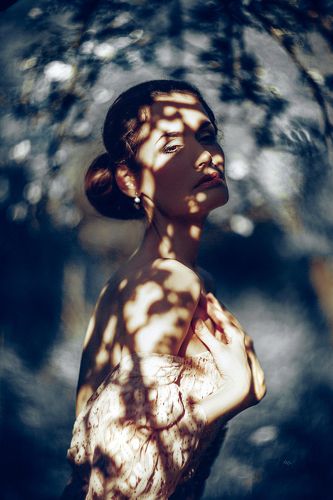 The Melody of Shadows