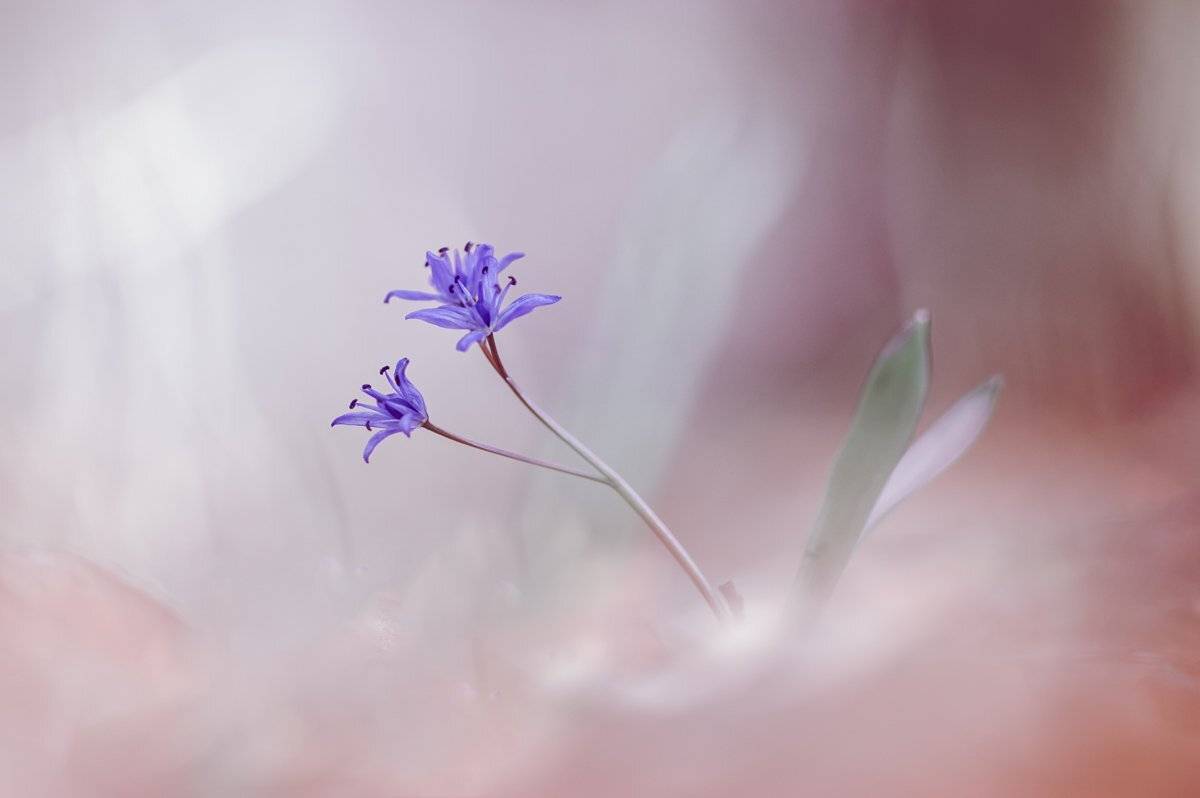 , Татьяна Аверина