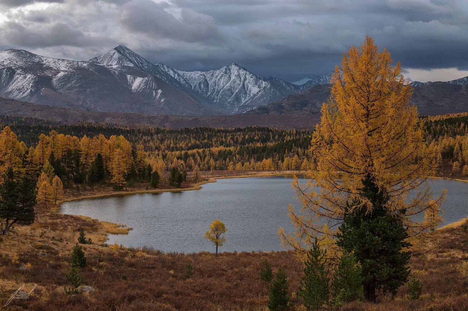 , Юрий Головченко