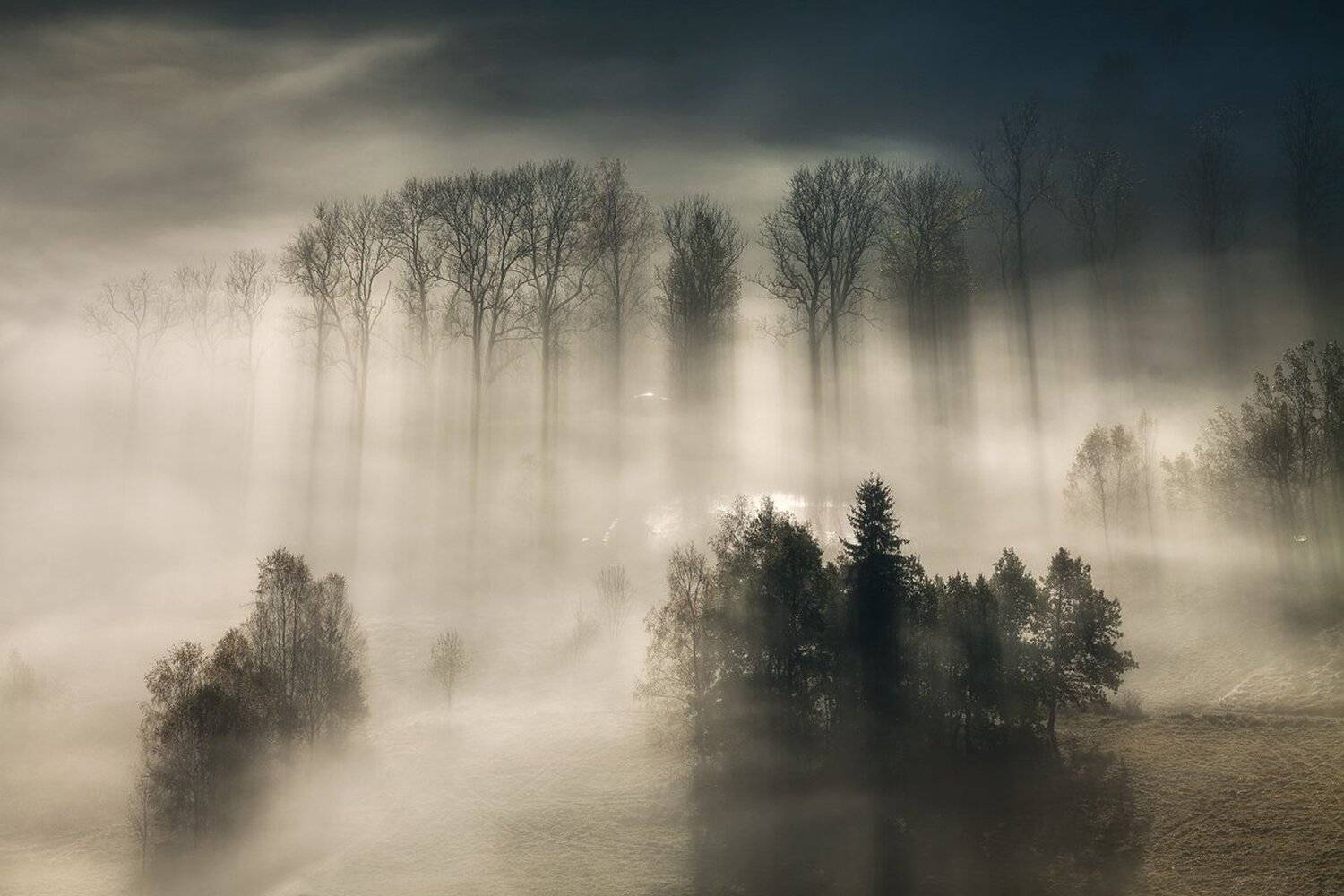 landscape,canon,mist,light,autumn, Iza i Darek Mitręga