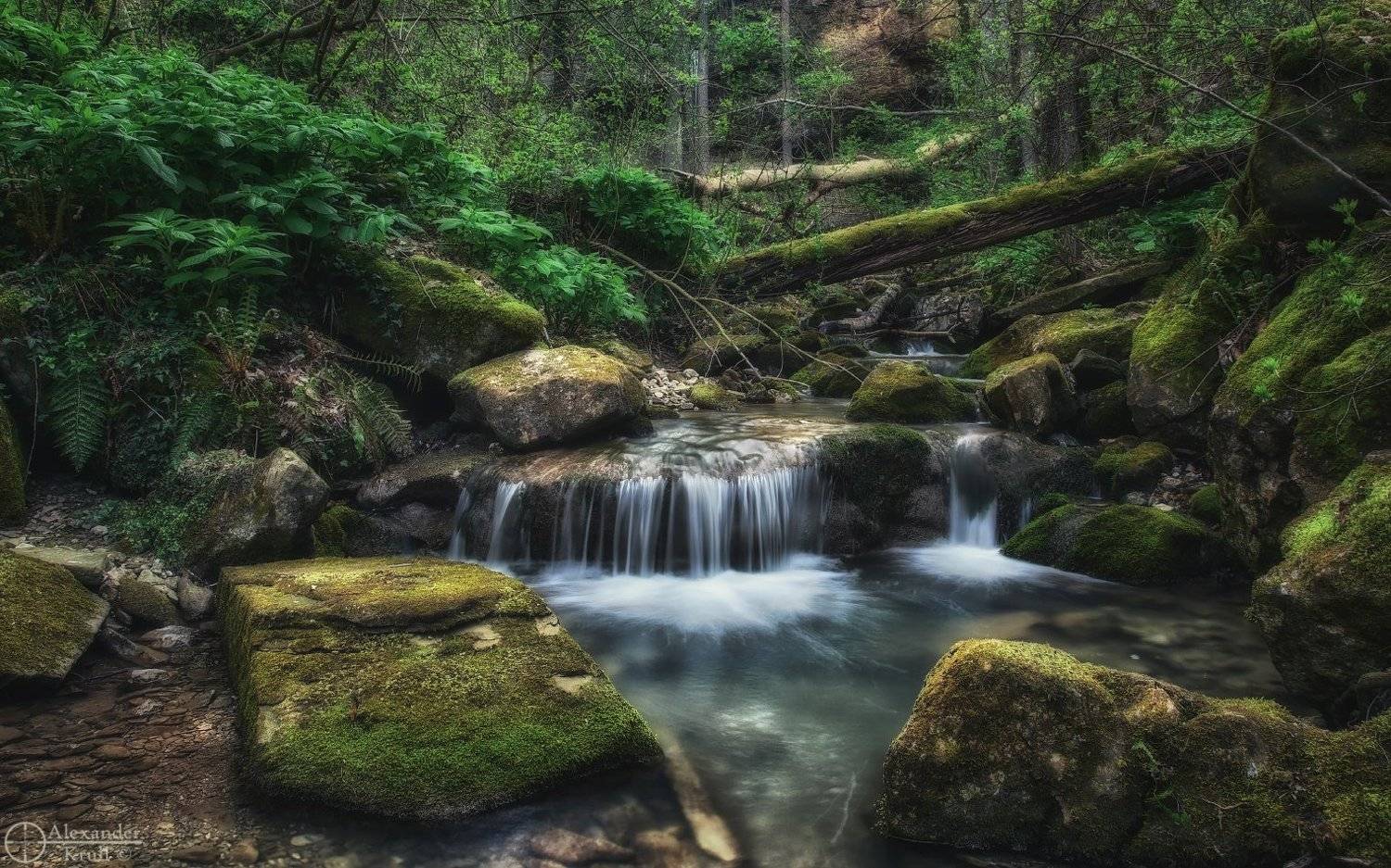 , Александр Круль