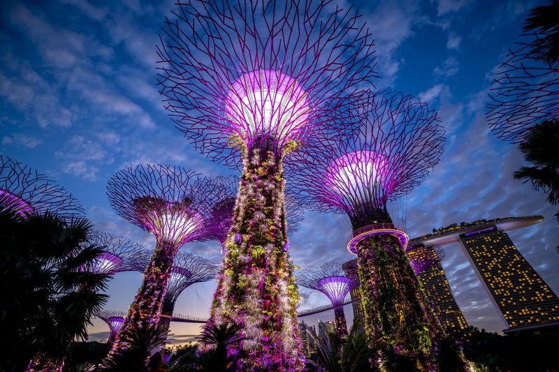 сингапур, singapore, gardens by the bay, the fountain of wealth, сентоза, sentosa, cloud forest, игуана, альбиция ленкоранская, григорий беденко, grigoriy bedenko, Cингапур фото превью