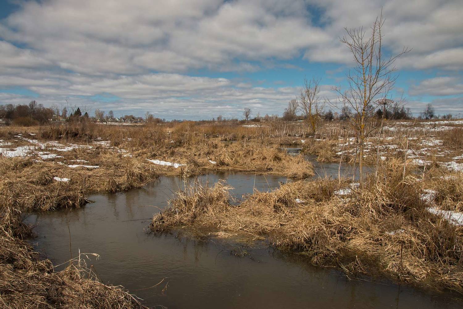 , Александр