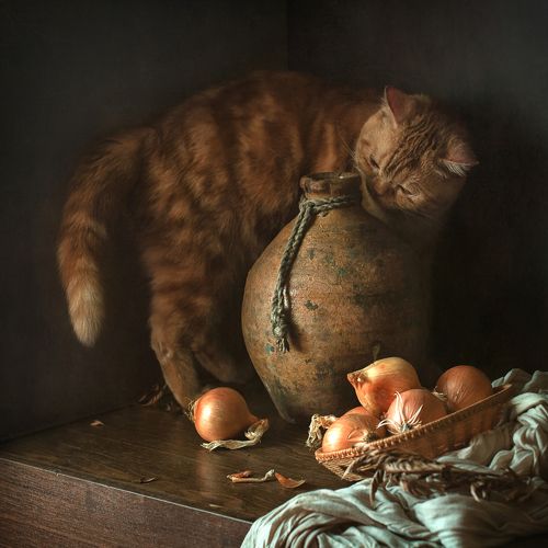 Чудо луковое