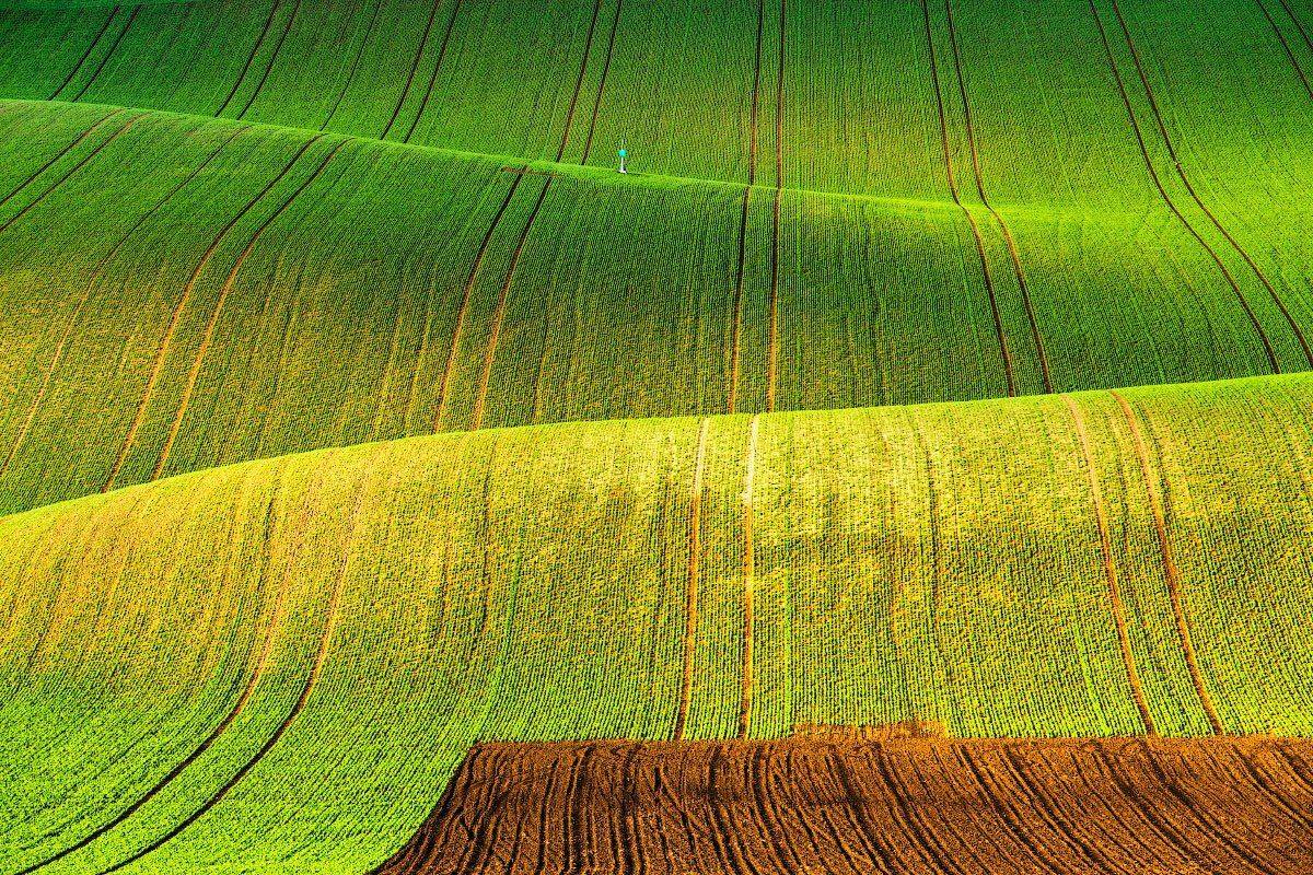 моравия, чехия, весна, апрель, поля, Вейзе Максим