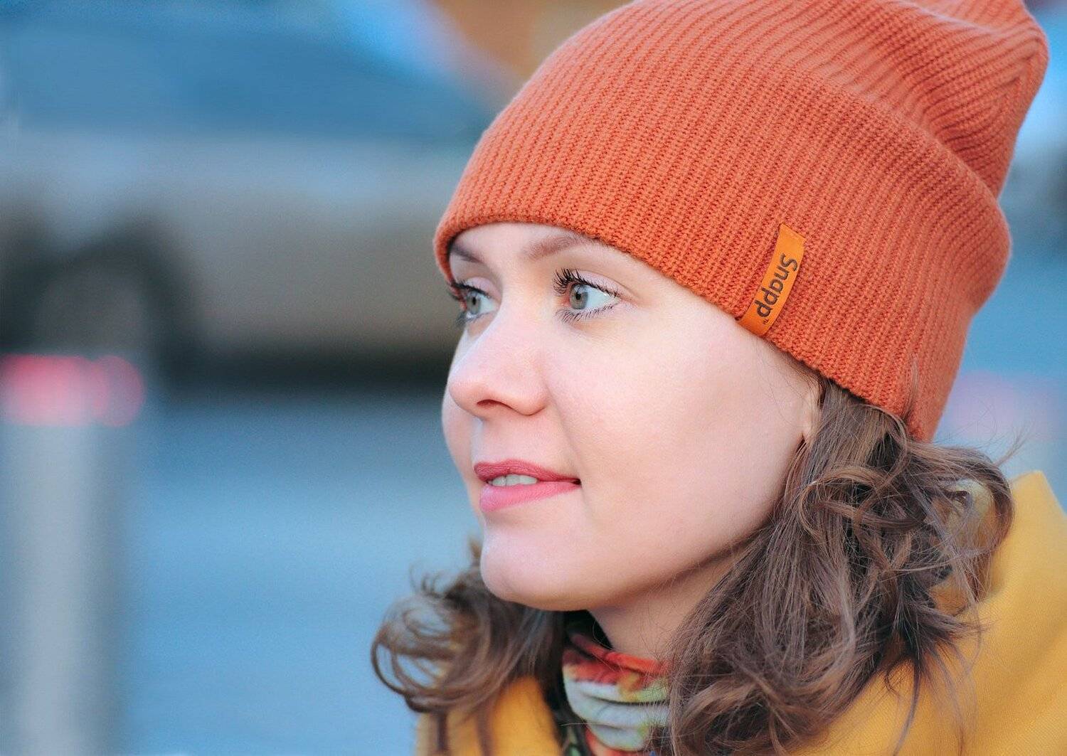 , Виктор Климкин