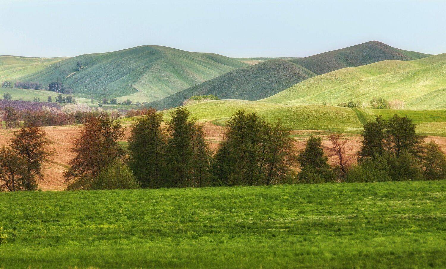, Павел Сагайдак