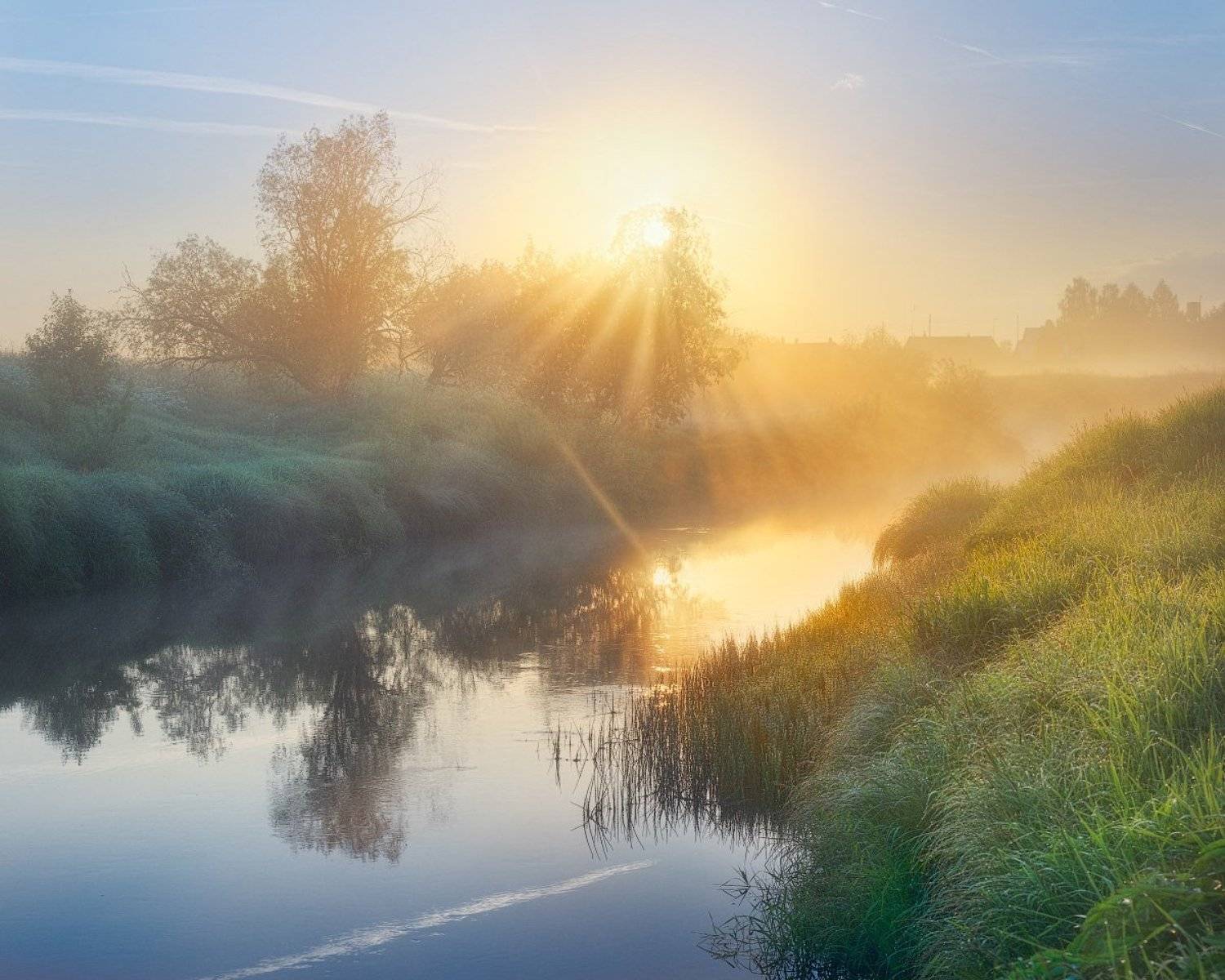 , Дмитрий Медянцев