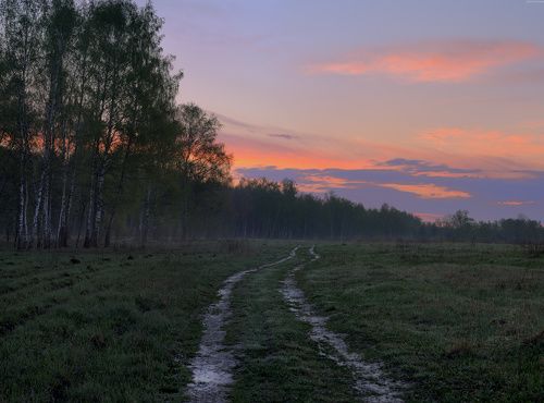 / Утро в Подмосковье /