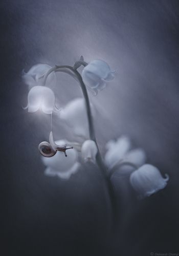 Таинственность окружающего