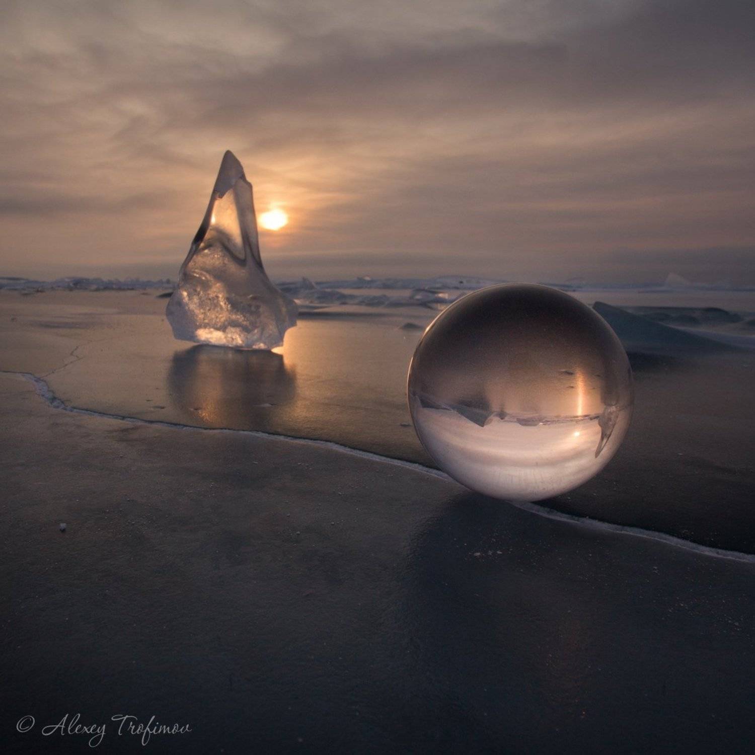 , Алексей Трофимов