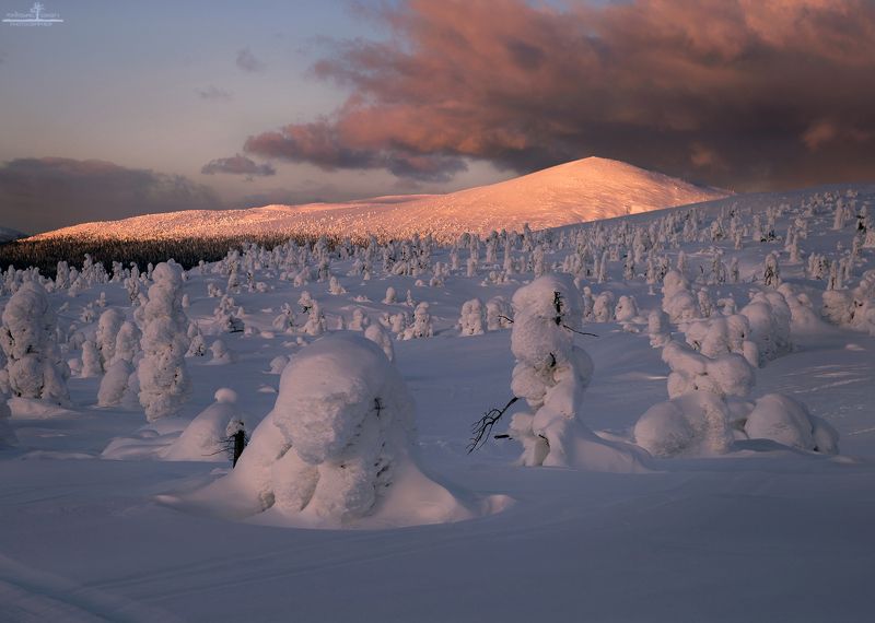 кандалакша Закулисье фото превью
