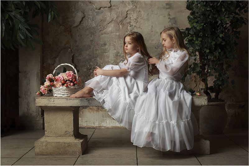 Английские розы фото превью