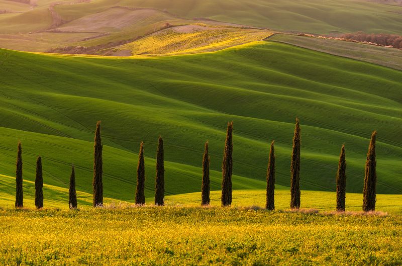 Tuscany, Crete Senesi, spring, valley, Тоскана, cipreses Тосканские мечты фото превью