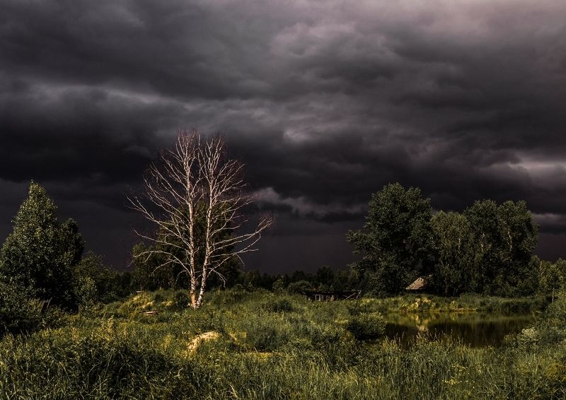 *** фото превью