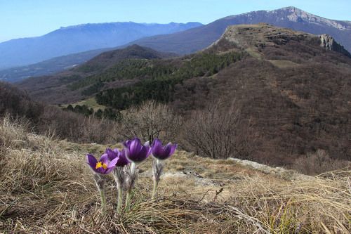 На Северной Демерджи