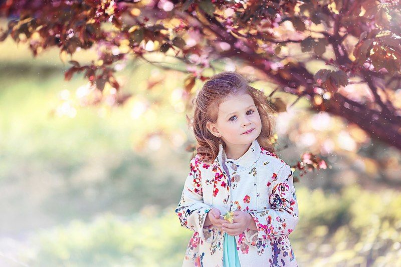 Поздняя сакура фото превью