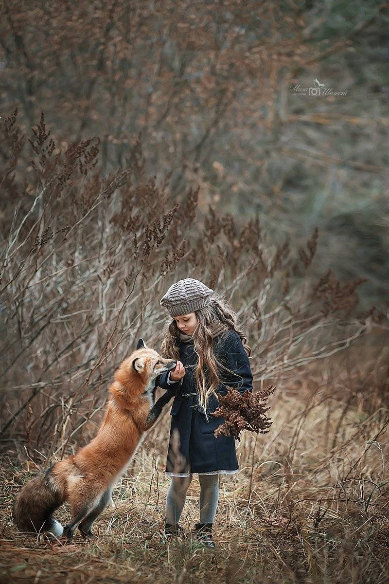 , Шелест Людмила