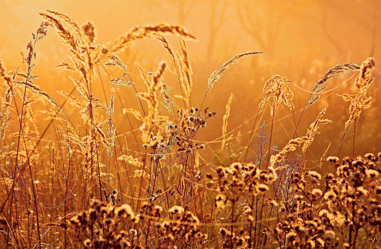 Photo, photo studio, photo travel, photo nature, woomen, Juris Zēbergs