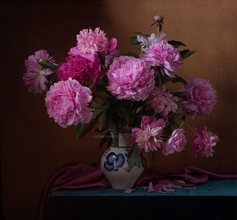 still life, натюрморт, фотонатюрморт, пионы, букет, цветы, лето, июнь, алина ланкина *** фото превью