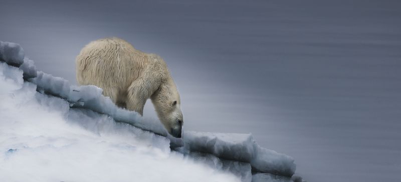 Зеркало Арктики фото превью
