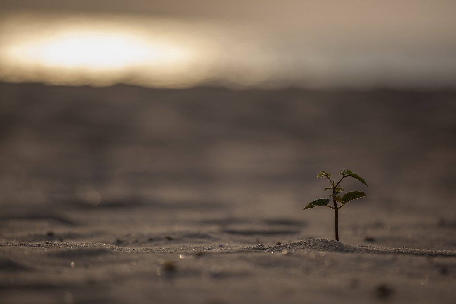 , Бахтин Вячеслав