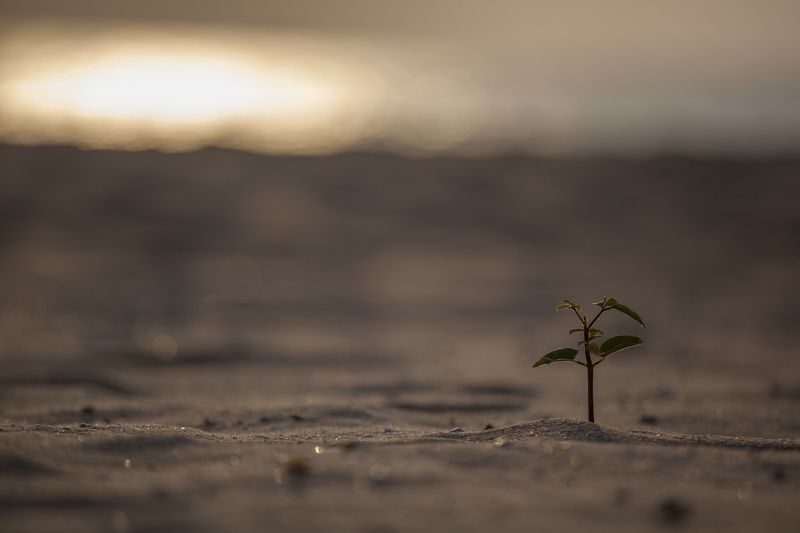 Начало!  фото превью