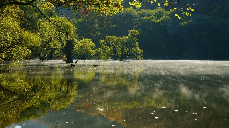 Water fog in the morning фото превью