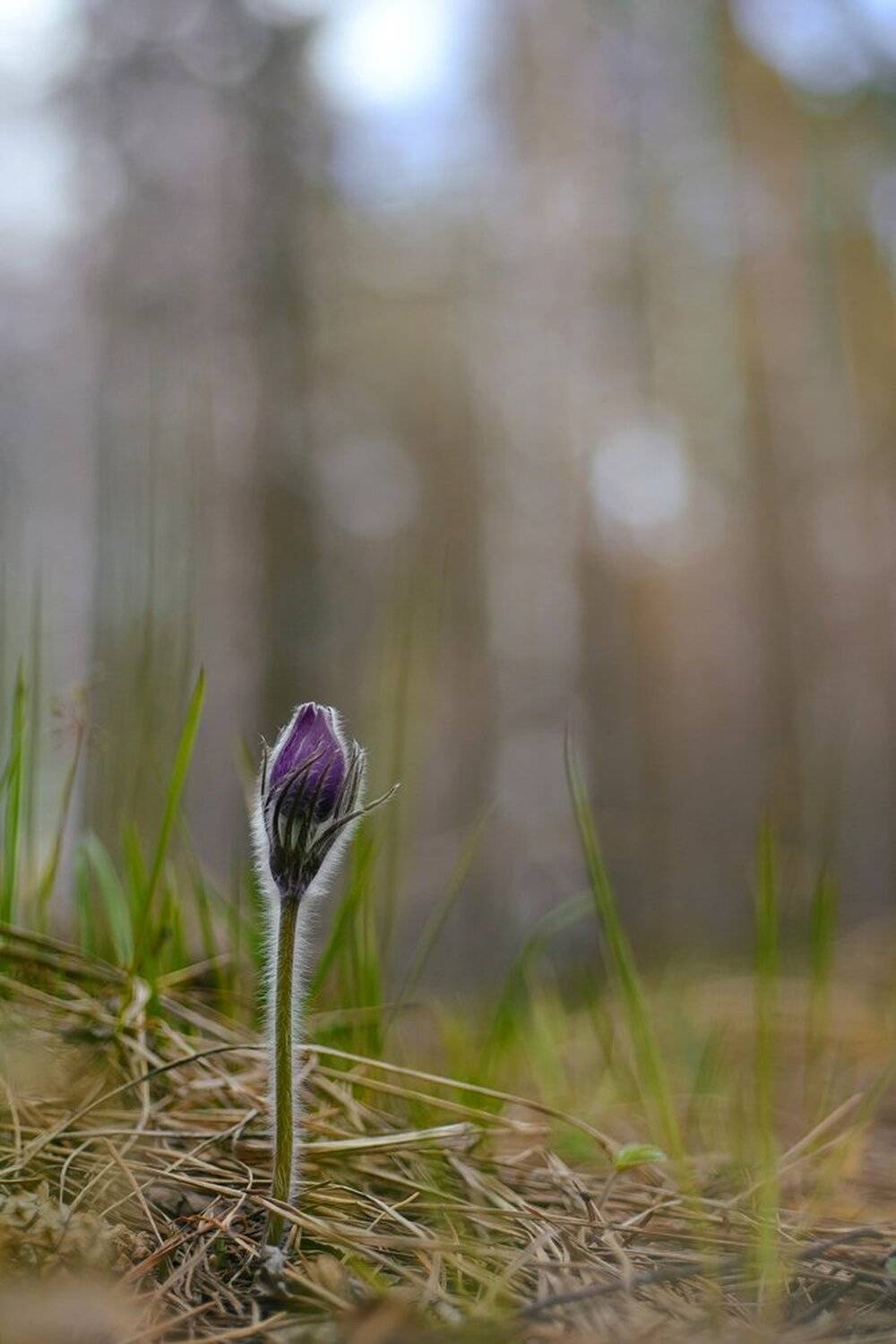 , Кузнецов Дмитрий