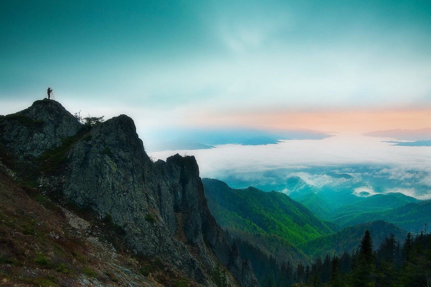 cozia, romania, nationapark, nikonphotography, valley, morning, Csomai David