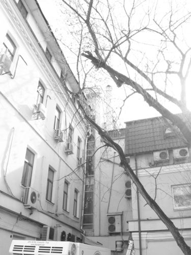 Весна