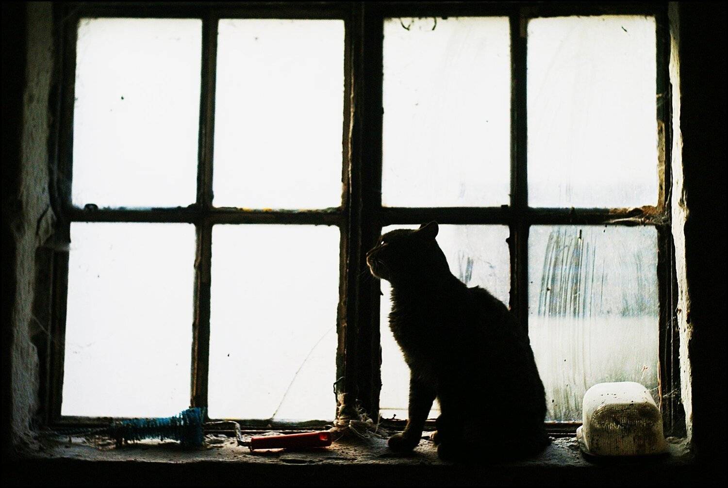 , Krzysztof Trojanowski