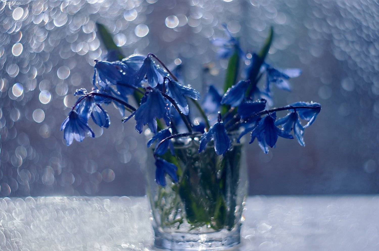 натюрморт,цветы,весна,взгляд,этюд,гелиос,, Марина Соколова