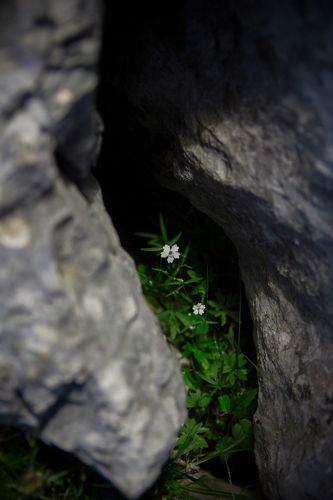 In the hug of Nature