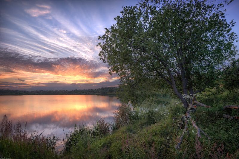 #пейзаж #весна #подмосковье #чехов #красиво #природа #закат #вечер  / Подмосковные вечера / фото превью