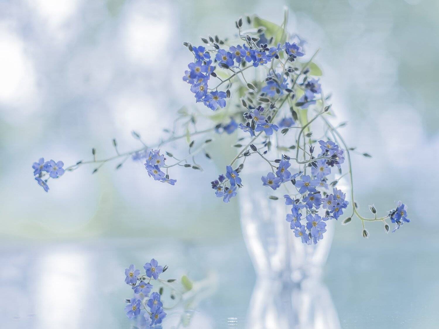 , Евгения Муравская