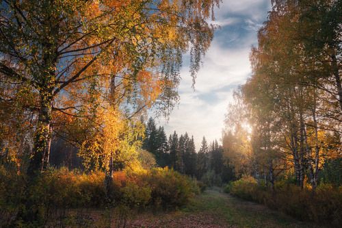 Осенний парк