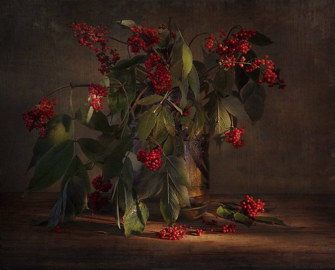 натюрморт,бузина, Елена Рубинская