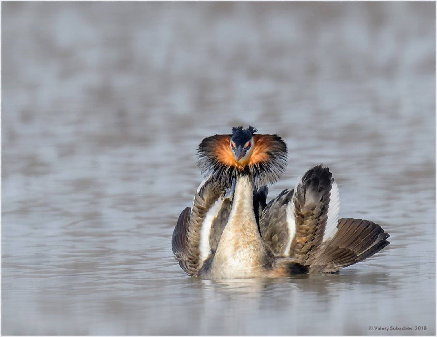 , Валерий Субачев