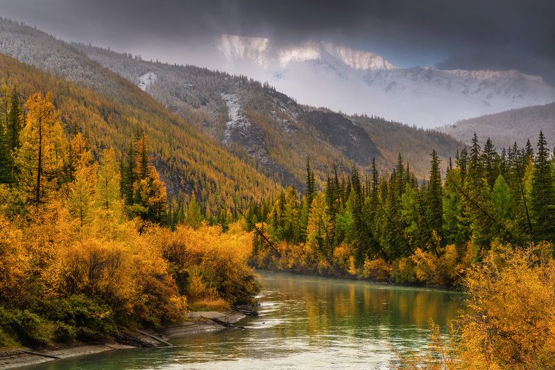 алтай, сибирь, куркурек, чуя, осень Грань Куркурека фото превью